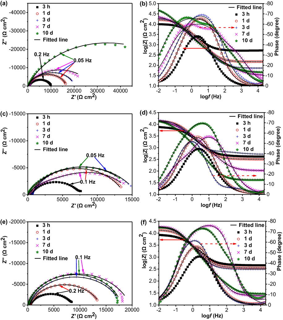 Nyquist diagrams and Bode plots of the steel electrode in the 3 mm thick soil layer with varied gassing conditions as a function of testing time (a, b) N2, (c, d) air, (e, f) 5% CO2/N2.