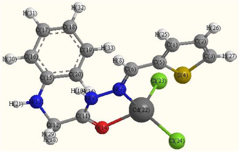 Optimized molecular structure of Cd(II)complex (C2).