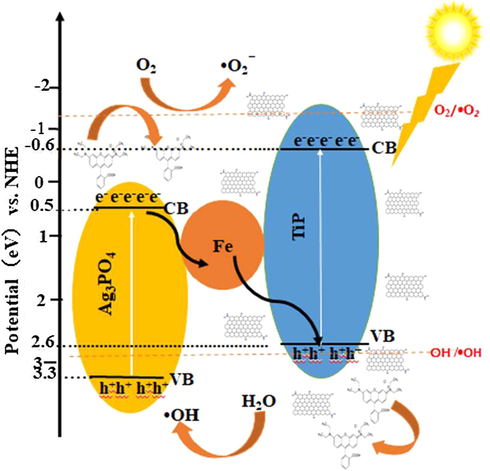 Schematic photocatalytic mechanism for 2% Ag3PO4/Fe/GTiP nanocomposite.