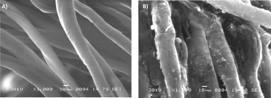 SEM images of virgin (A) and polyPAA-CS-CMP grafted cellulose dressing (B).