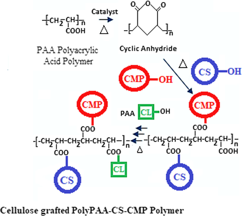 Grafting polyesterification reactions of the chitosan and the Myrrh polysaccharide extract onto the cellulosic dressing via the polyacrylic acid as a crosslinking polymer.