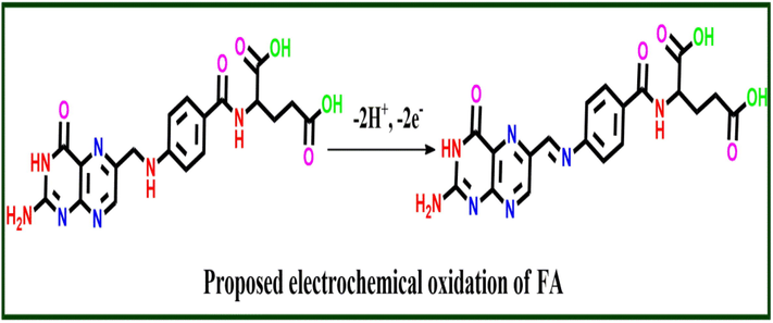 Proposed mechanism of FA detection.