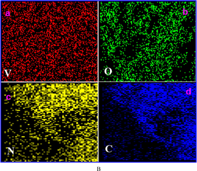 (A) FE-SEM high magnification image of (a) V2O5, (b) V2O5/PVA, (c) V2O5/G-C3N4, (d & e) different magnification of V2O5/PVA/G-C3N4 nanocomposite and (f) EDAX spectrum of V2O5/PVA/G-C3N4 nanocomposite, (B) mapping analysis of V2O5/PVA/G-C3N4 nanocomposite.