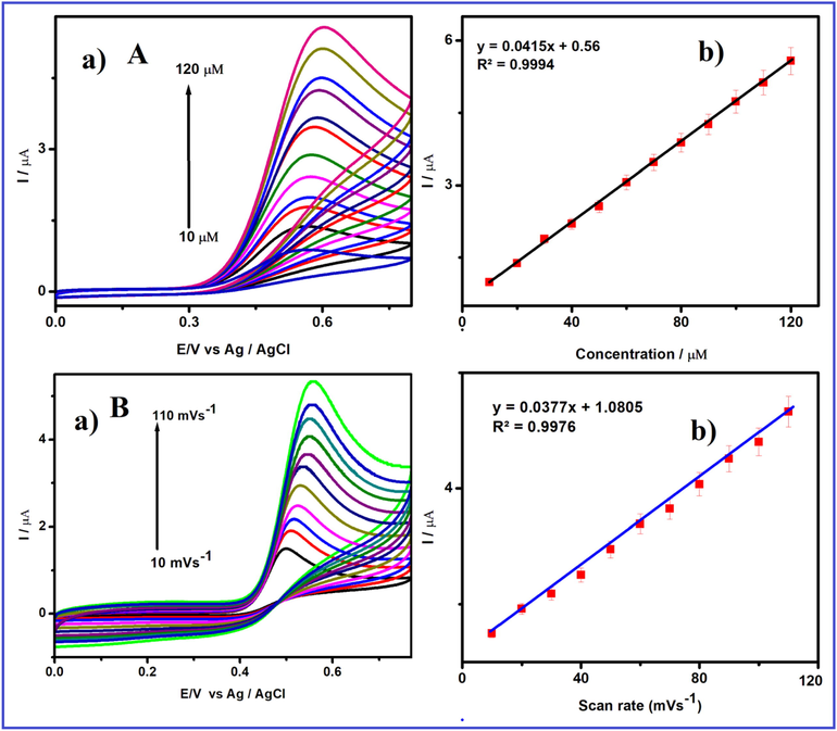 (A) (a) Cyclic voltammetric response of V2O5/PVA/G-C3N4/GCE in FA containing 0.1 M (pH = 7) PBS at various concentration from 10 to 120 μM and (b) the linear plot for redox peak current response of FA vs. concentration, (B) (a) Cyclic voltammetric response of V2O5/PVA/G-C3N4/GCE in 50 µM FA containing 0.1 M (pH = 7) PBS at different scan rates from 10 to 110 mV/s and (b) the linear plot for cathodic peak current response of FA vs. square root of scan rate.