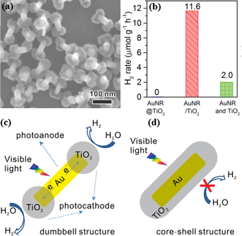 (a) SEM image of the as-prepared AuNR/TiO2 nanodumbells. (b) Photocatalytic hydrogen production rate of various catalysts. (c,d) Schematic representation of the photocatalytic reaction mechanism for (c) AuNR/TiO2 dumbbell and (d) core–shell AuNR@TiO2 under visible light (Wu et al., 2016).