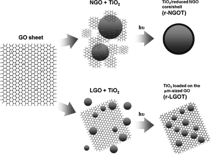 Representation of the synthesis of r-NGOT and r-LGOT (Kim et al., 2011).