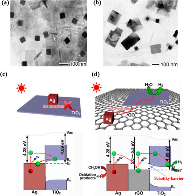 (a) TEM image of Ag-TiO2 hybrid structure. (b) TEM image of Ag-rGO-TiO2 hybrid structure, and schematic representation of the photocatalytic reaction mechanism for Ag-TiO2 (c) and Ag-rGO-TiO2 (d) under visible light illumination (Lang et al., 2018).