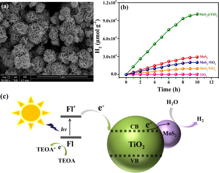 (a) SEM image of MoS2@TiO2 hybrid. (b) H2 produced by various catalysts in a mixture containing acetone and TEOA, and fluorescein over 10 h. (c) Schematic representation of the photocatalytic reaction mechanism for MoS2@TiO2 under visible light (Ma et al., 2016).