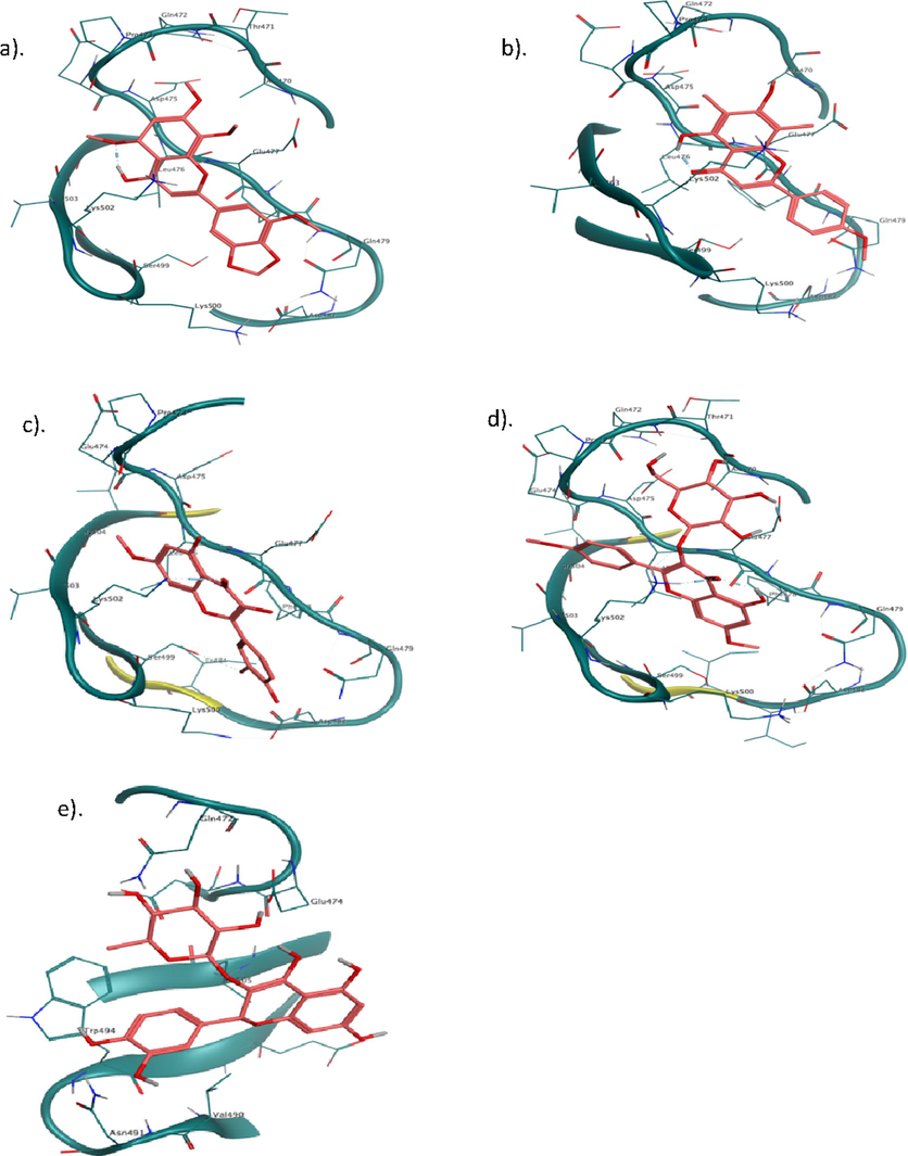 Binding interactions of isolated compounds (a) SA-1, (b). SA-2, (c) SA-3, (d) SA-4 and (e) ST-1 with active site residues of SH3 domain of NADH.