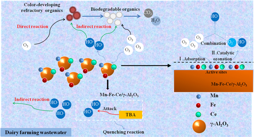 Catalytic mechanisms in dairy farming wastewater using Mn-Fe-Ce/γ-Al2O3.