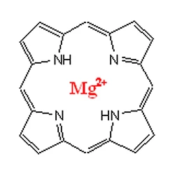 Article figure