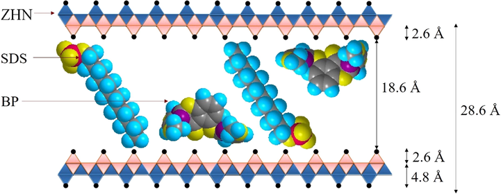 Spatial Orientation of BP and SDS in the Interlayer Gallery of ZHN–SDS–BP.