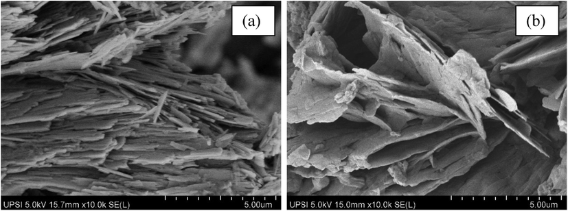 Surface Morphology of (a) ZHN–SDS and (b) ZHN–SDS–BP.