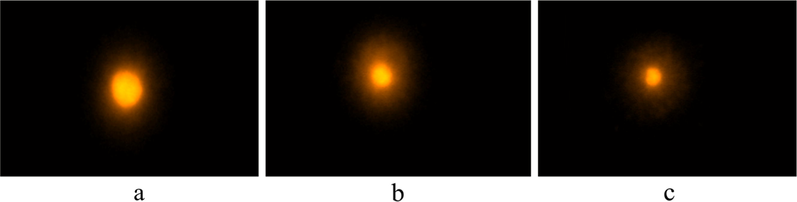 Comet Assay-Single cell gel electrophores is of human peripheral Lymphocytes. Complex induced double-strand DNA breaks in lymphocytes cells. Cells were untreated (a) or treated with 20 μM complex. (a) Test sample with tail length 3.43 ± 0.05 µm, (b) Ligand with tail length 10.42 ± 0.047 µm and (c) Copper Complex with Tail length 7.23 ± 0.039 µm.