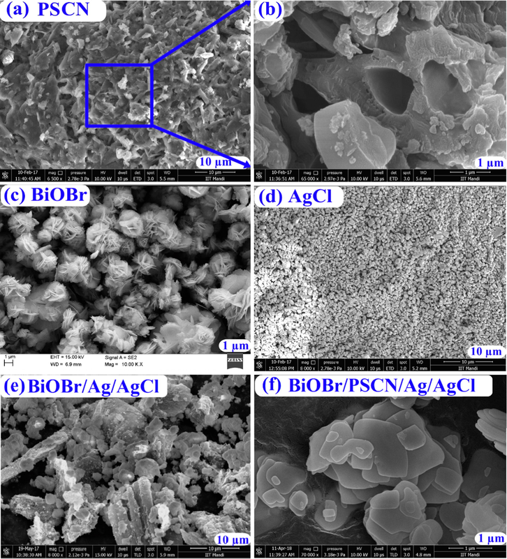 FESEM images of (a) PSCN, (b) Exaggerated image of selected area, (c) BiOBr, (d) AgCl, (e) BiOBr/Ag/AgCl and (f) BiOBr/PSCN/Ag/AgCl.