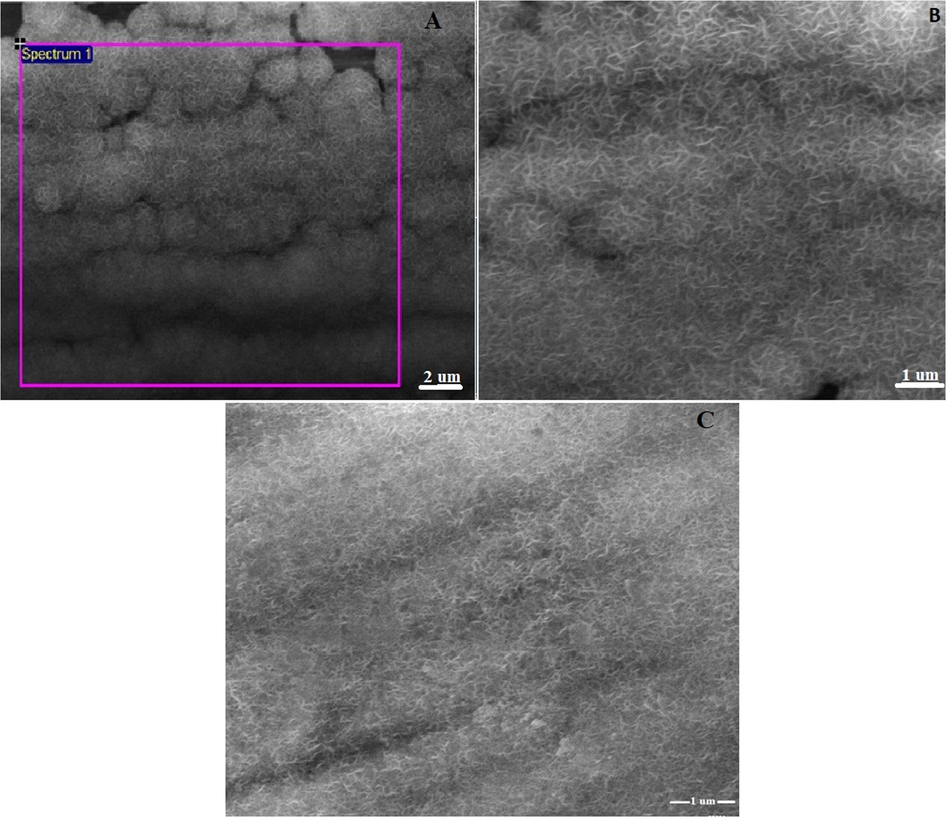 SEM images of the electrode MnO2-NiO flakes (A,B different magnifications) at 20/10, and graphene oxide decorated MnO2-NiO nanoflakes at 30 GO (C).