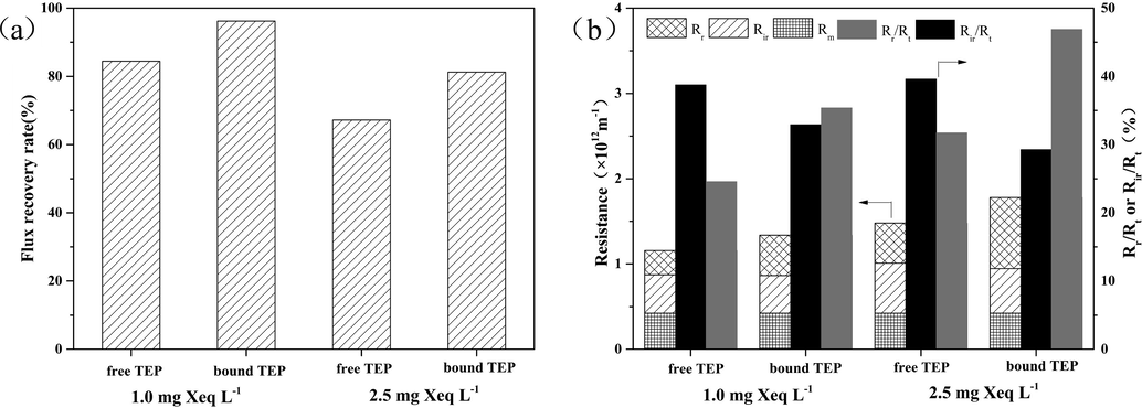 Comparison of irreversible membrane fouling caused by free TEPs and bound TEPs: (a) resistance composition at the end of filtration; (b) flux recovery rates after hydraulic backwash.