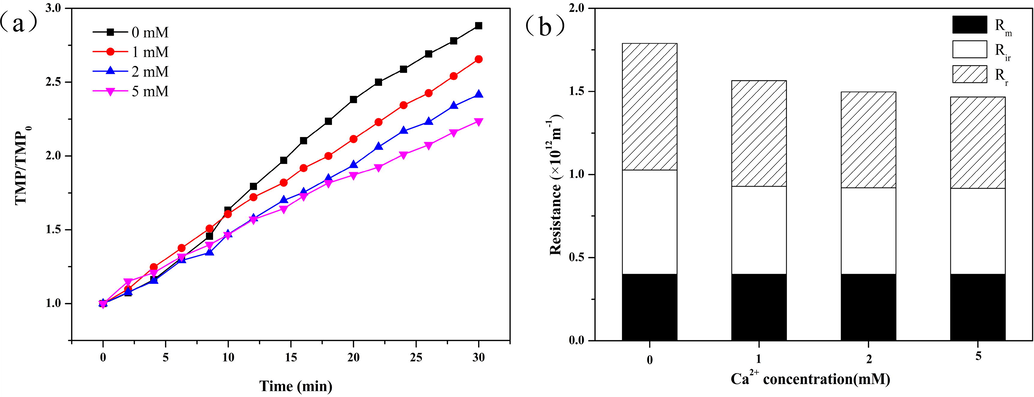 Influence of Ca2+ ion concentration on membrane fouling behavior of free TEPs: (a) TMP curves at different Ca2+ ion concentrations; and (b) Resistance composition at different Ca2+ ion concentrations. The concentration of TEP in the influent is 1.2 mg Xeq L−1.