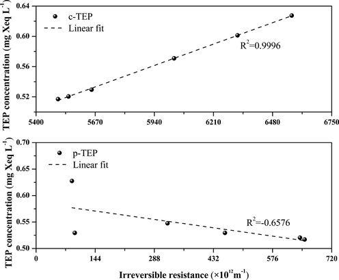 Correlation analysis of free TEP concentration with irreversible membrane fouling.