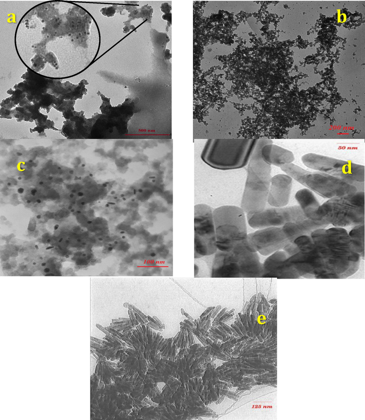 TEM images of FCP/Pd nanobiocomposites in different Preyssler loadings (a) 8%, (b) 15%, (c) 25%, (d) 40%, (e) 50%.