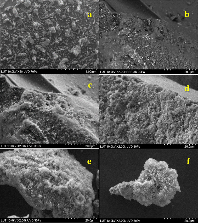 SEM images of FCP in different loadings of Preyssler: (a) micro crystalline cellulose, (b) 8%, (c) 15%, (d) 25%, (e) 40%, (f) 50%.