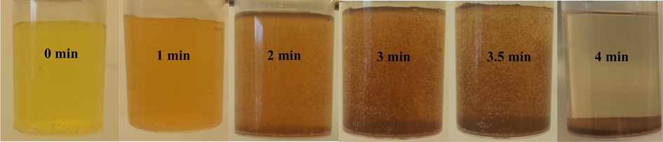 Catalytic formation of nanobiocomposite FCP/Pd (pH = 2–3, 8%).