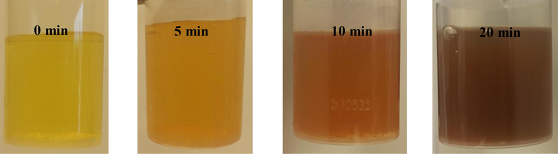 Catalytic formation of PdNPs in the presence of FCP with other Preyssler loadings.