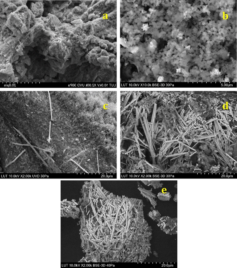 SEM images of FCP/Pd nanobiocomposites in different Preyssler loadings: (a) 8%, (b) 15%, (c) 25%, (d) 40%, (e) 50%.