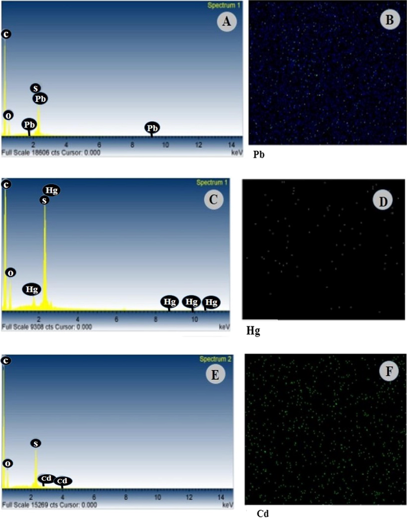 A, C and E are the EDS scan analysis results of PCNT-3 membranes and B, D, and F are the elemental mapping descriptions of Pb2+, Hg2+, and Cd2+ ions.