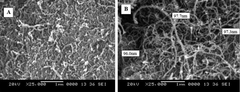 (A) SEM outlook appearance of MWCNTs, (B) magnified SEM image of MWCNTs.