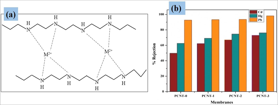 Graphical representation of heavy metals complexation with PEI (a), Heavy metal ions rejection results of membranes (b).