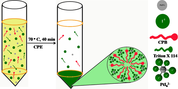 The mechanism involved in the formation of the Pt-I NPs from spent automobile catalytic converter leachate.