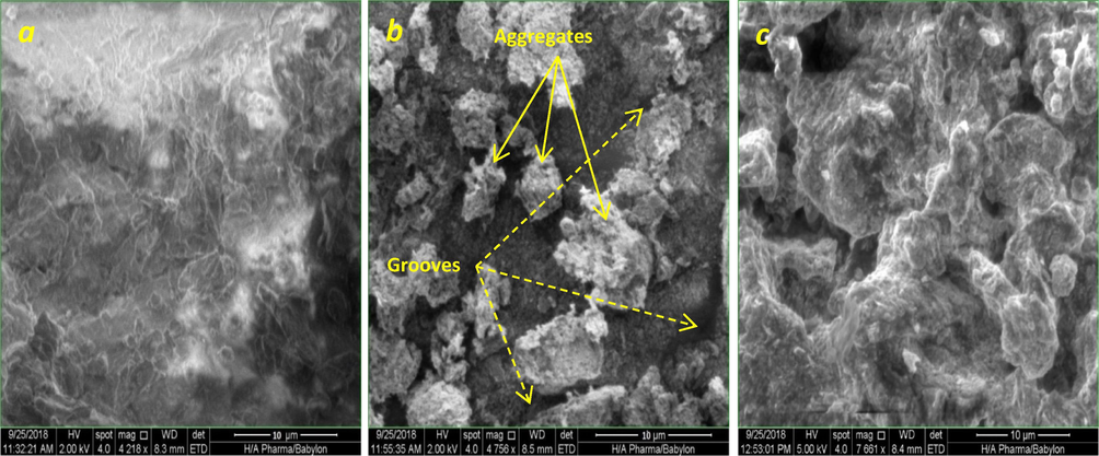 SEM micrographs of PS (a) and CPS before (b), and after (c) simultaneous adsorption of TEC; AMO, and CIP molecules.