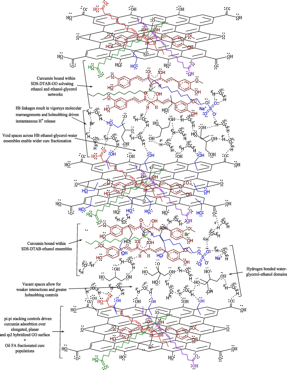 Possible curc distribution and binding patterns in GO supplemented 1:1 SDS and DTAB CLF mixtures. Curc could prevail either on GO surface (via stacking activities alongside oil FA) or remain entrapped within ethanol, glycerol and surfactant (SDS and DTAB) domains in (water + ethanol + glycerol) vicinity.