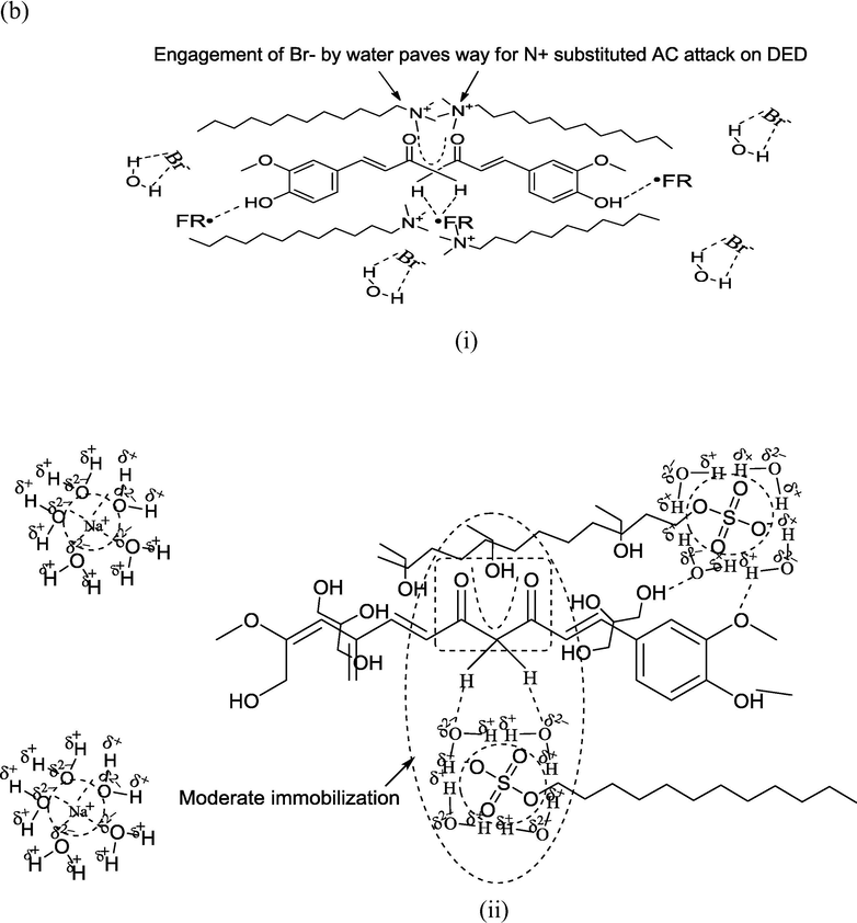 Predictive curc interaction patterns with (a) SDS, (b) DTAB. The more hydrophobic DTAB strongly immobilizes the centrally positioned diffused electron density (of curc) compared to SDS, where only a moderate binding is initiated.