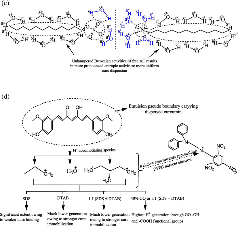 Predictive curc interaction patterns with (a) SDS, (b) DTAB. The more hydrophobic DTAB strongly immobilizes the centrally positioned diffused electron density (of curc) compared to SDS, where only a moderate binding is initiated.