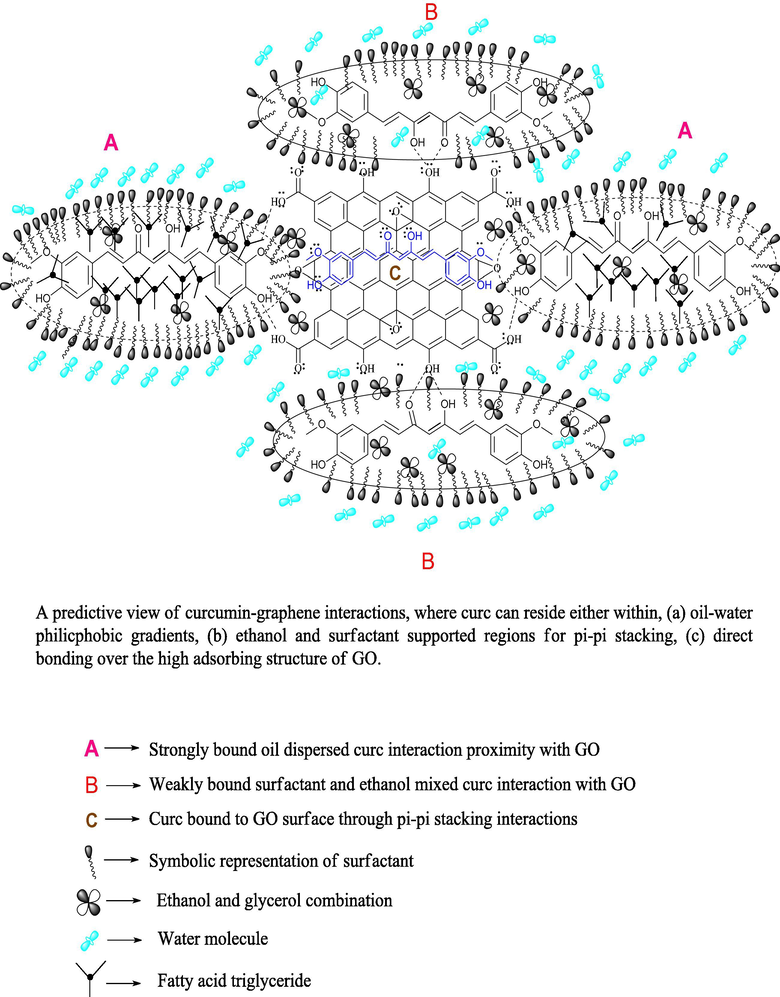 Probable interaction model for combined GO and curc activities, depicting the distinctive curc binding modes on ethanol dispersed GO flattened structure.