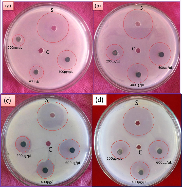 The antibacterial activity of biosynthesized NiO NPs against pathogenic bacterial strains (a) S.aureus (b) E.coli (c) Pseudomonas desmolyticum and (d) Klebsiella aerogenes.