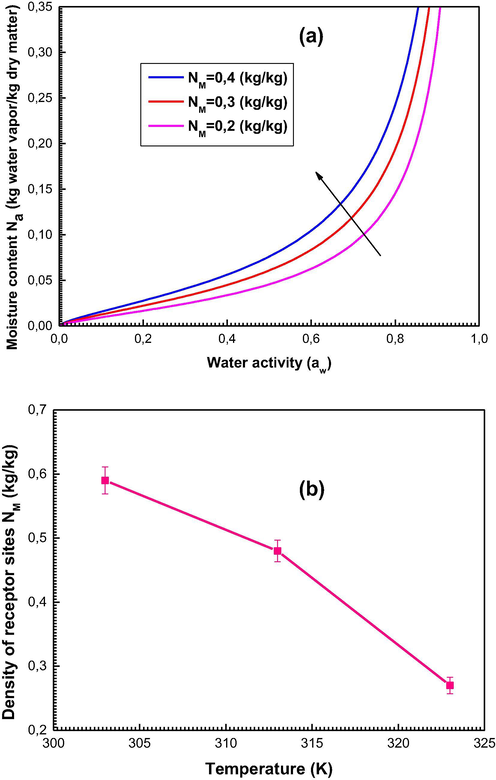 Interpretation of the steric parameter density of receptor site NM: (a) Influence of NM on the shapes of sorption isotherms, (b) Evolution of NM as function of temperature.