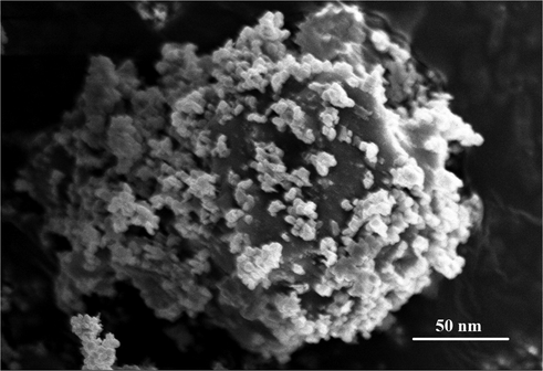 Scanning electron microscopy (SEM) image reveals the morphology of TaO2-CS-MoS2.