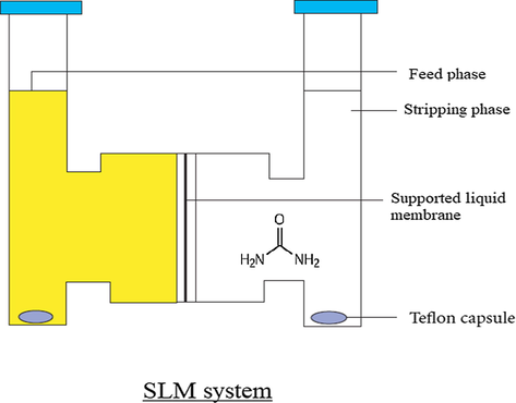 Supported liquid membrane (SLM) system for the transport of urea.