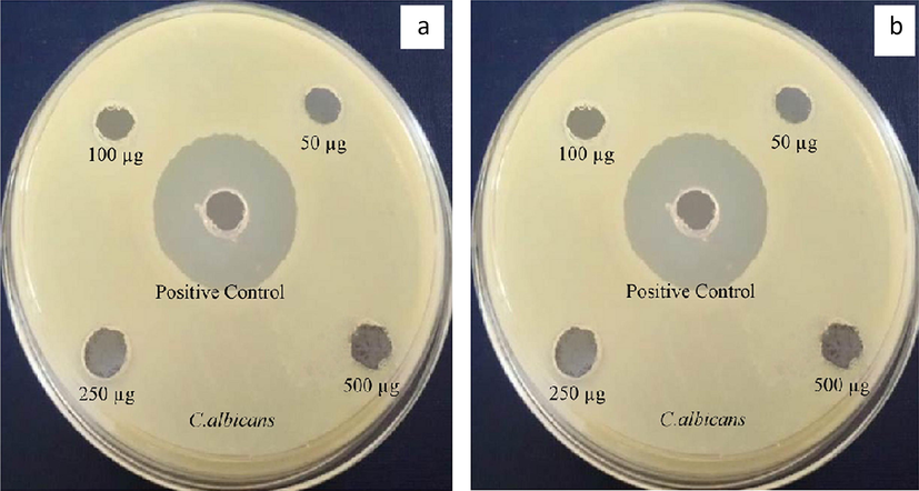 Antifungal activity of Au@PANI–IA–Fe3O4 magnetic nanocomposite.