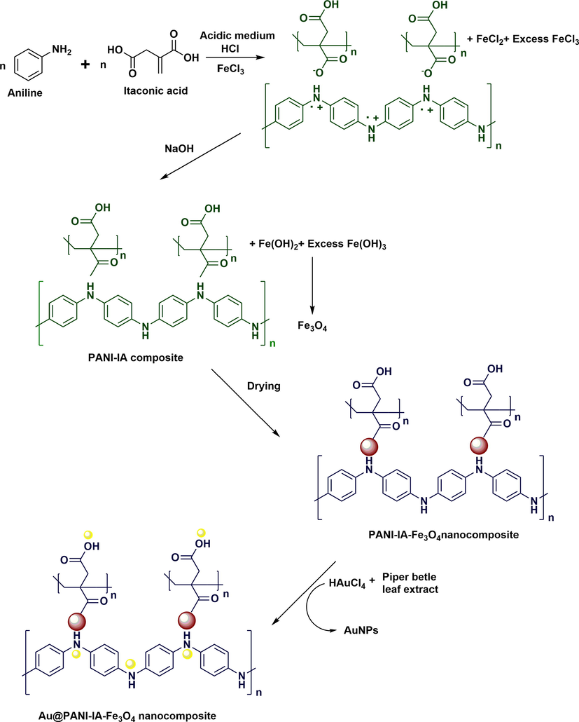 Shows the schematic representation of Au@PANI–IA–Fe3O4 nanocomposites.