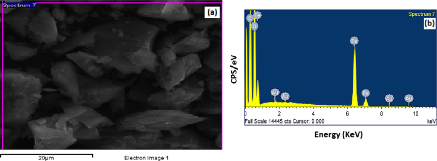 SEM micrographs of (a) Au@PANI–IA–Fe3O4 and EDX images of (b) Au@PANI–IA–Fe3O4 magnetic nanocomposite.