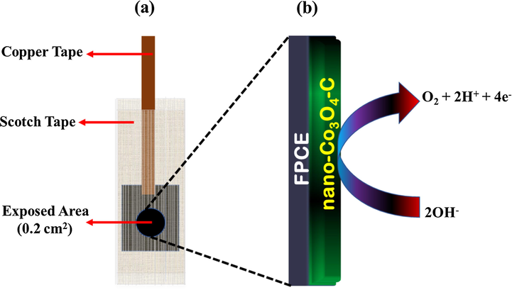 Schematic (a) of the FPCE and (b) representation for a water-splitting electrocatalytic activity on an integrated nano-Co3O4-C/FPCE oxygen-evolving anode.