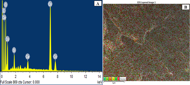 (A) EDS spectrum and (B) Elemental mapping of nano-Co3O4-C-400.