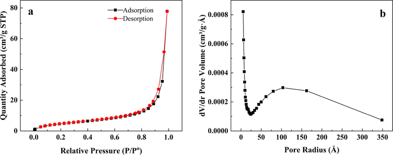 Adsorption-desorption curve and pore size distribution of geopolymer-cetyltrimethylammonium bromide (GP-CTAB).