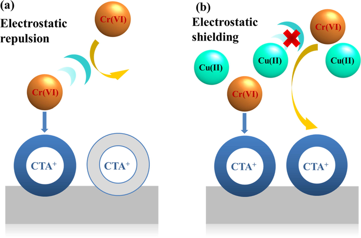 Schematic diagram of the shielding effect of Cu(II) on the electrostatic repulsion between Cr(VI) (a) without Cu(II), (b) with Cu(II). When the colour of the CTA+ group changes from grey to blue, the adsorption site becomes available.