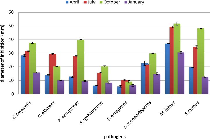 I. graveolens EO antimicrobial activity assessed by agar diffusion test (diameter of inhibition zone in mm includes 3 mm corresponding to the diameter of the hole).