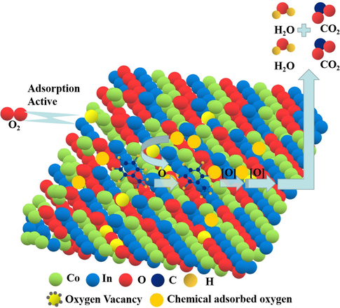 Schematic of toluene combustion on Co3O4/In2O3.